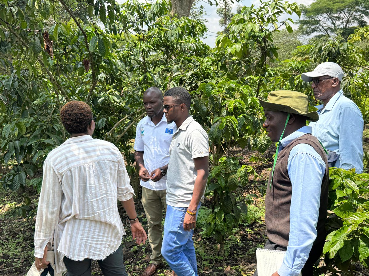 National Coffee Research Institute Uganda (NaCORI) tweet media