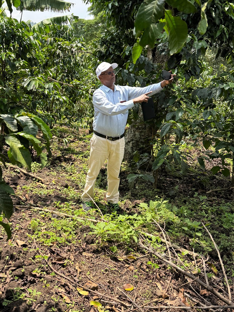 National Coffee Research Institute Uganda (NaCORI) tweet media