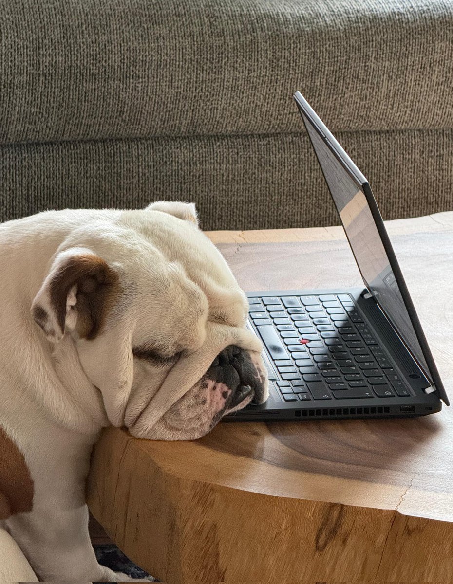 Sole ❤️ Duca Bianco Di Pan Barattolo tweet media