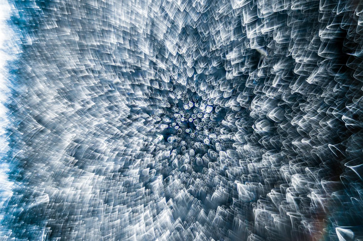 Nikon Small World tweet media