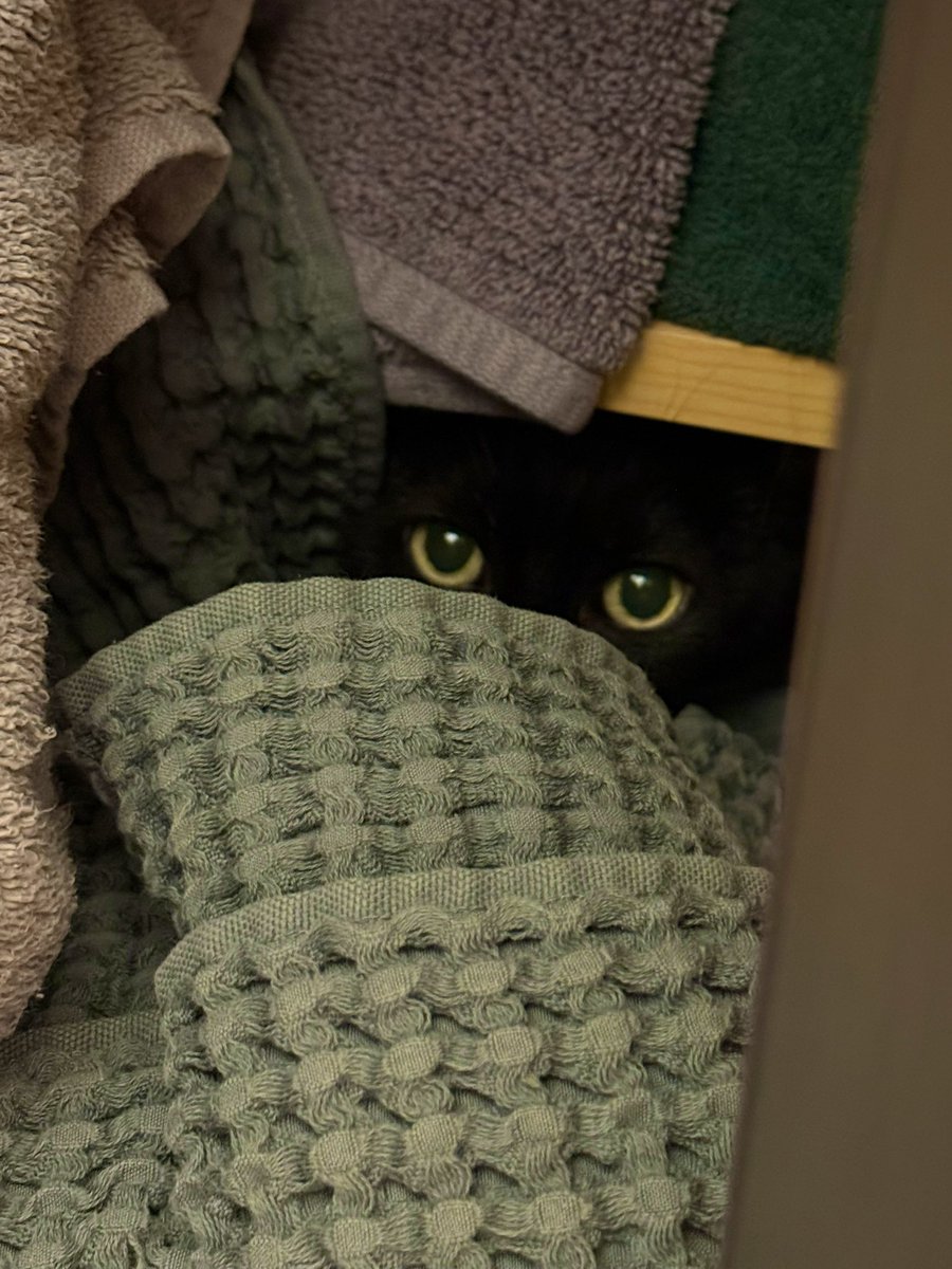 She likes burrowing in my towels 

It’s like the shadows have eyes LOL