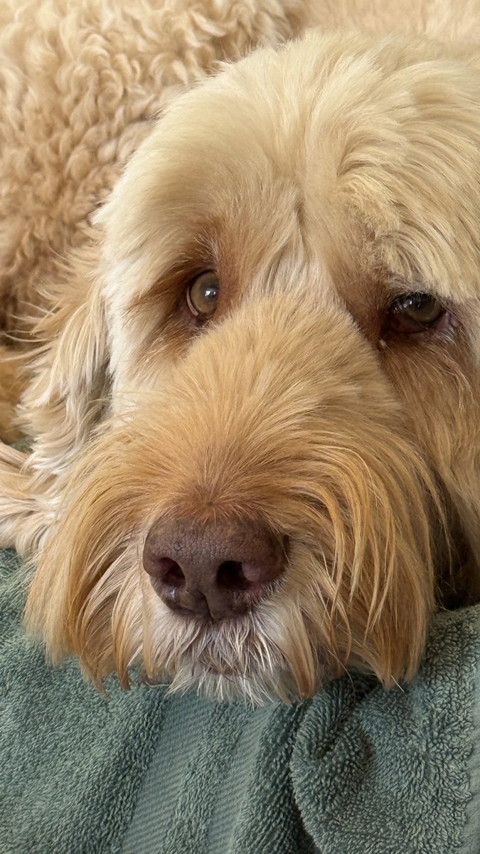 Meg Coffey tweet media