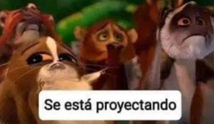 Clov! 🍉 tweet media