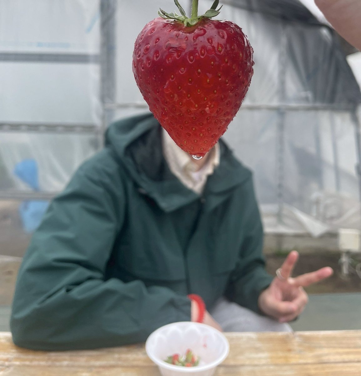 ばぶお tweet media