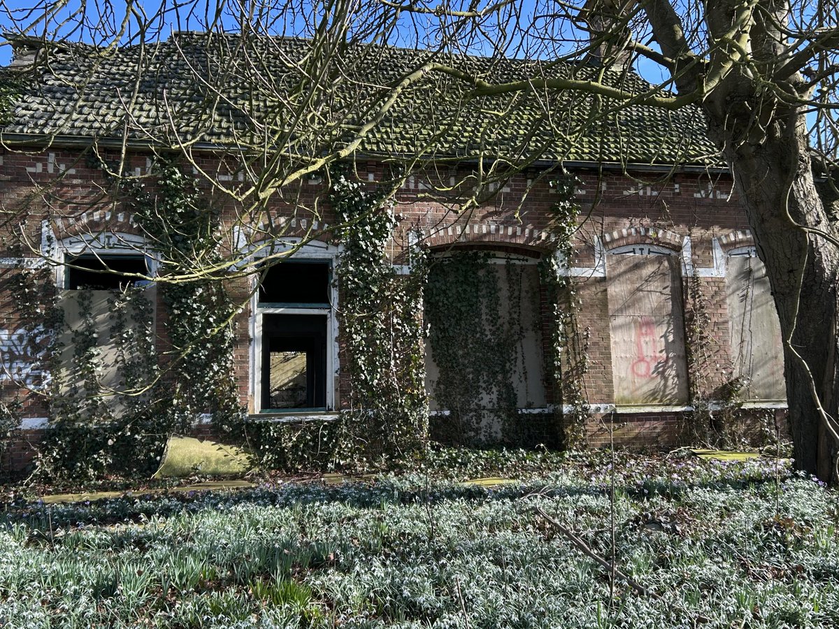 Bloei en verval aan de Scheperij, Terheijl.