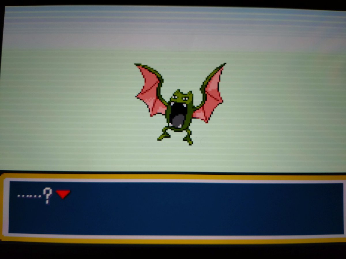 レベル上がるたびにこうなるゴルバットかわいい