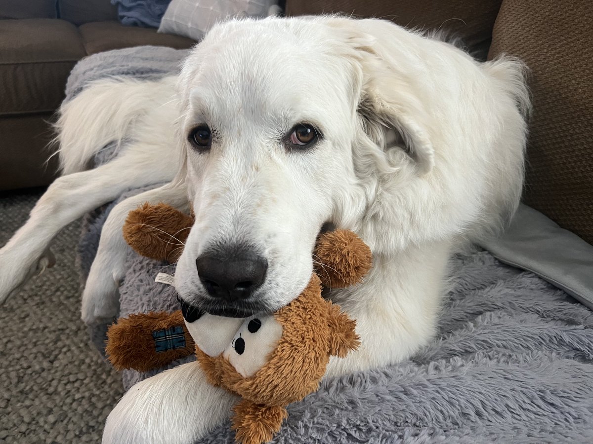 Mark Lyon tweet media