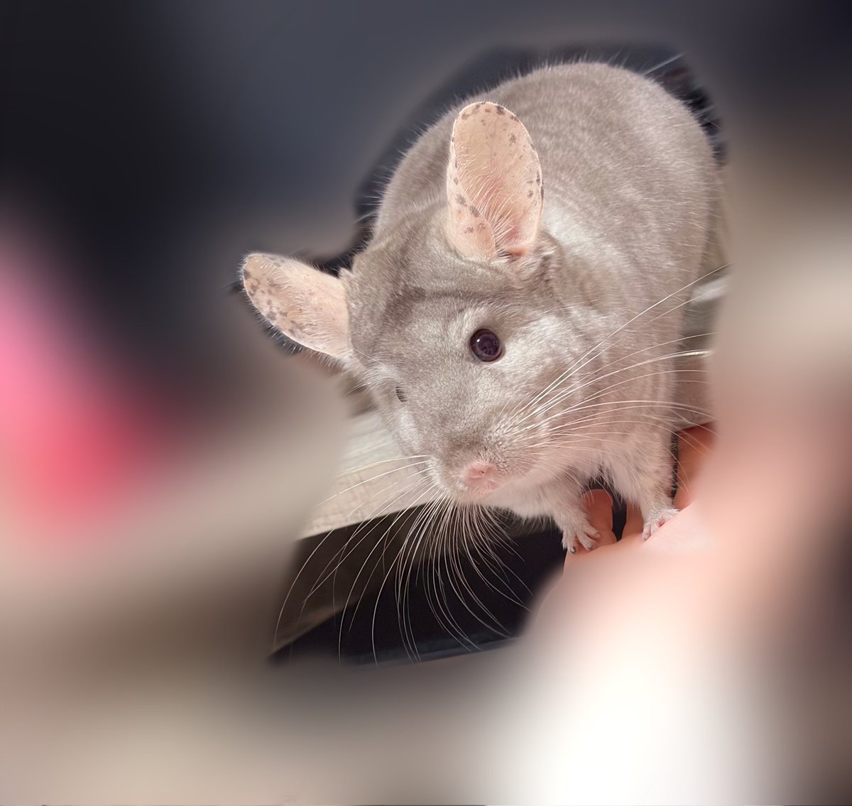 🆕໒꒱ (@__Re18__) / Posts / X