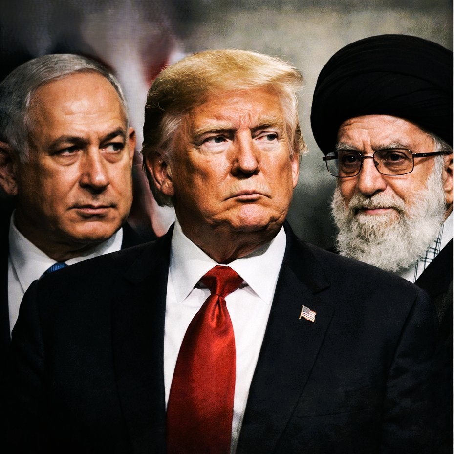 Aki Network Japan tweet media