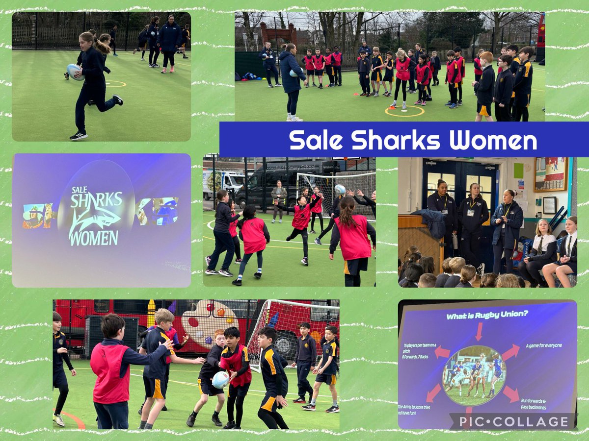 SpringfieldPrimary tweet media