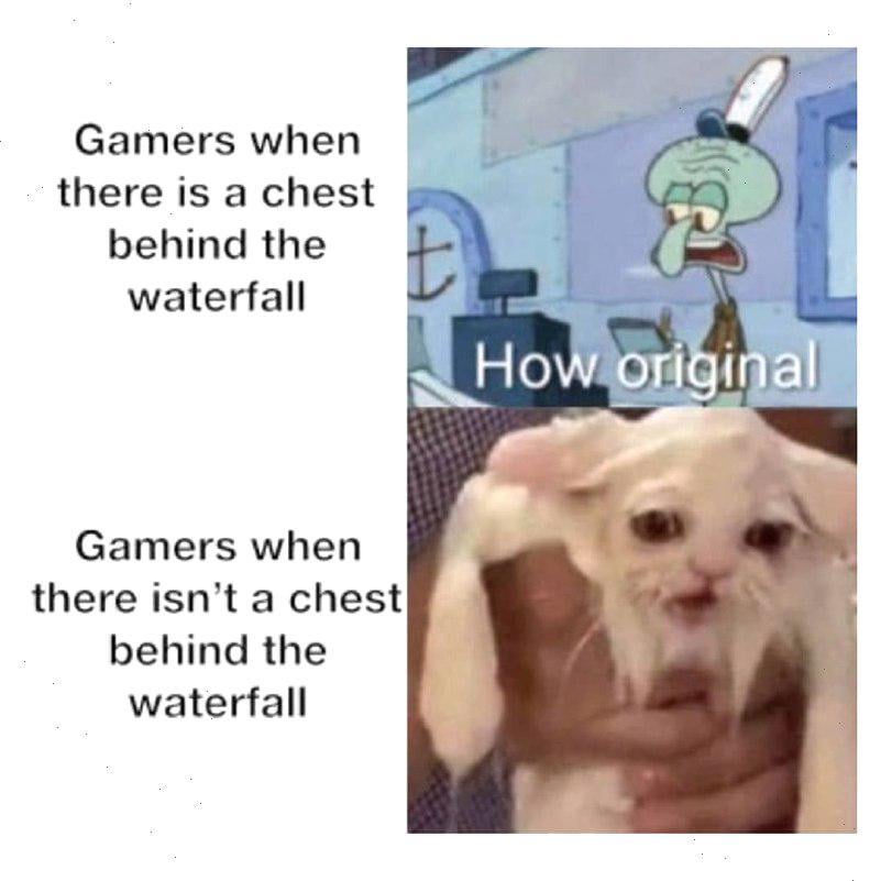 meme bastard 💚 tweet media