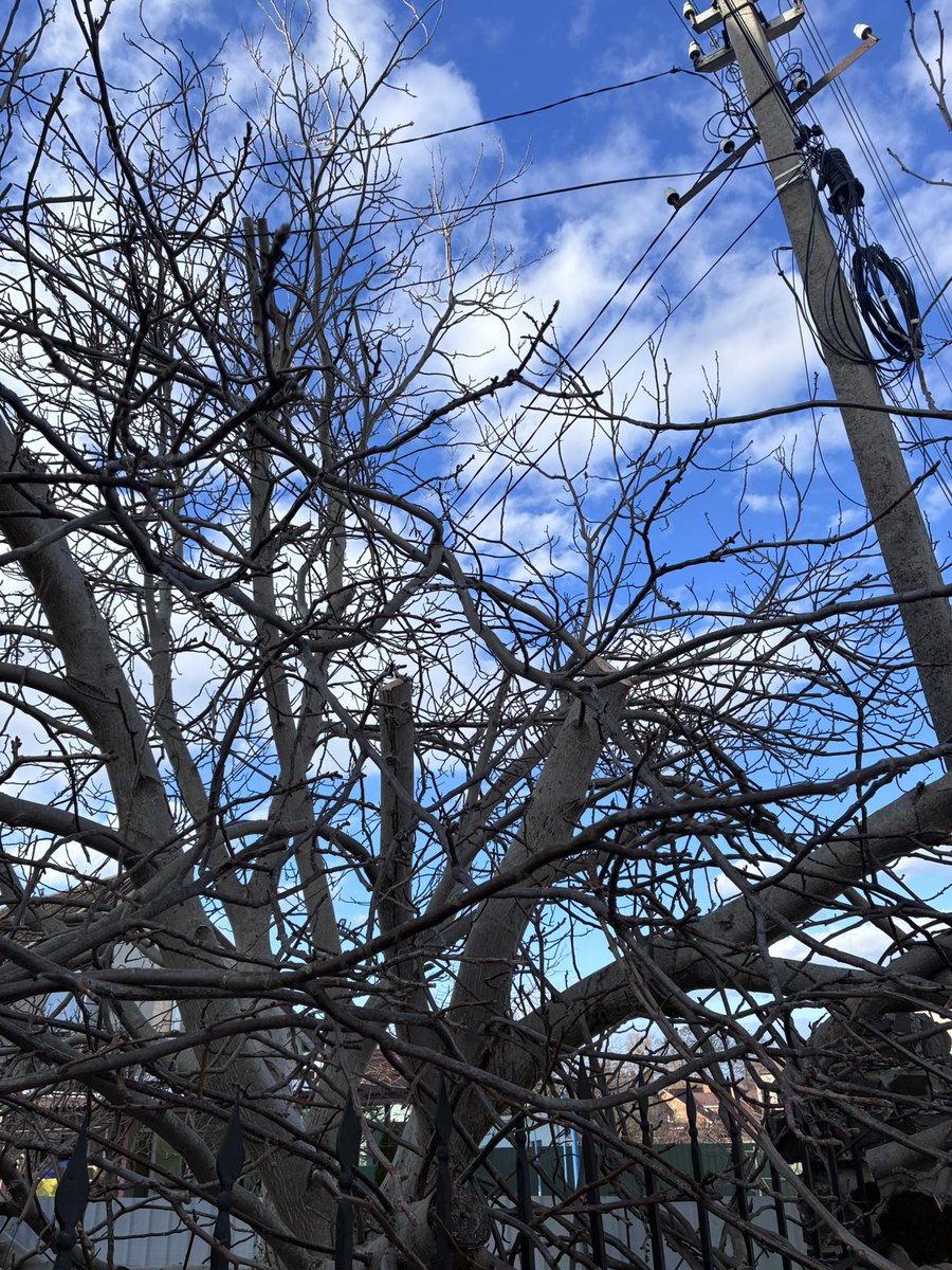 друже не дуже tweet media