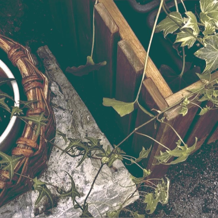 +454, stealing every scene 🎬 tweet media