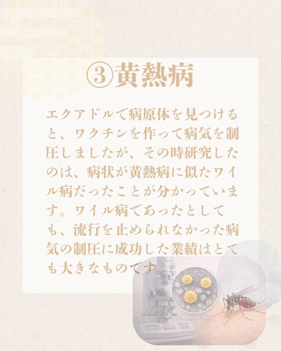 野口英世記念館【公式】Hideyo Noguchi Memorial Museum tweet media