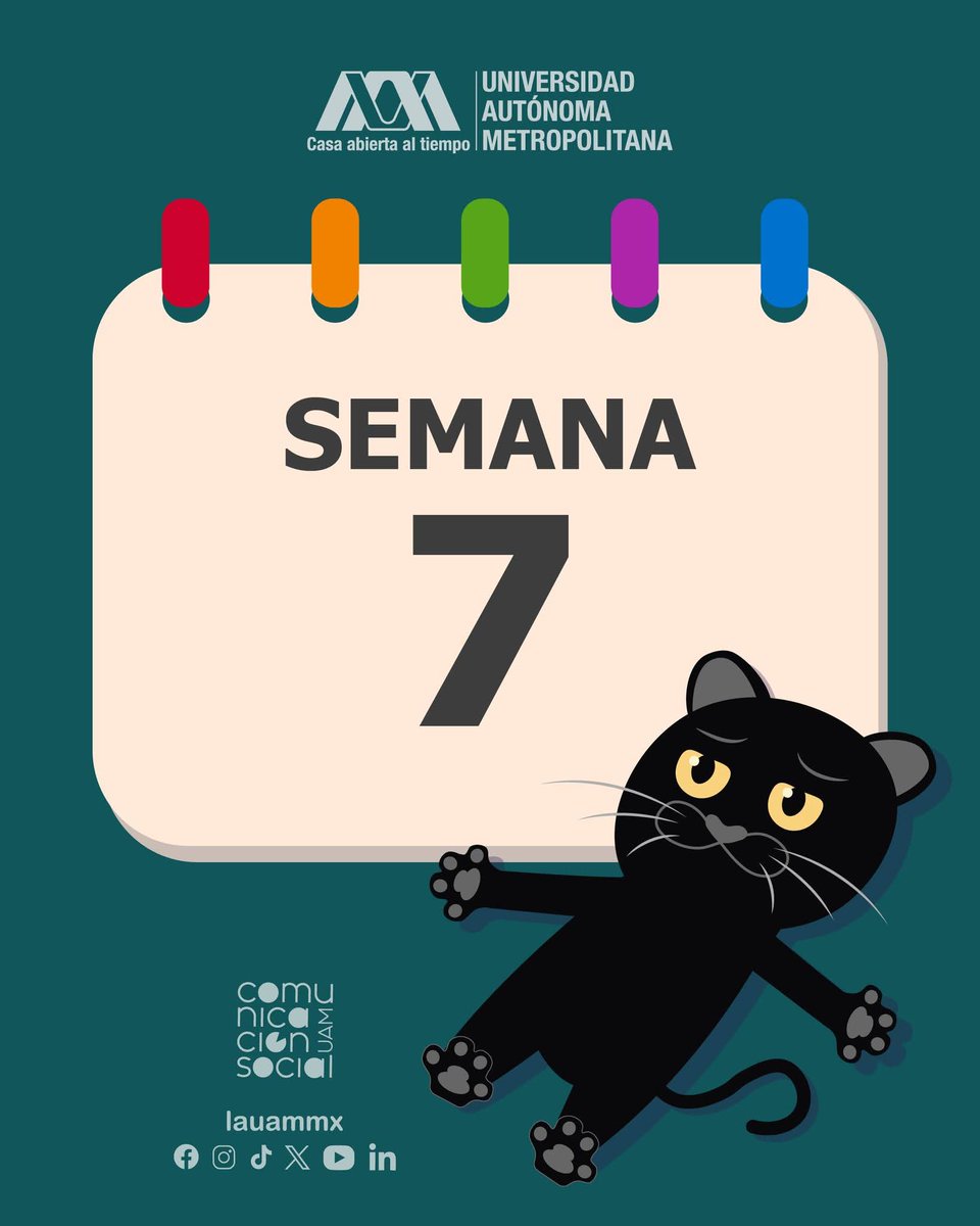 DcshUam's tweet photo. 🗓️ ¿Qué tan motivado te sientes hoy? 
Ya estamos en la #Semana7 de actividades

📣 ¡Éxito panteras!

#SoyUAM #CalendarioUAM #UAMInforma #SomosUAM https://t.co/xc2KVUjvYb