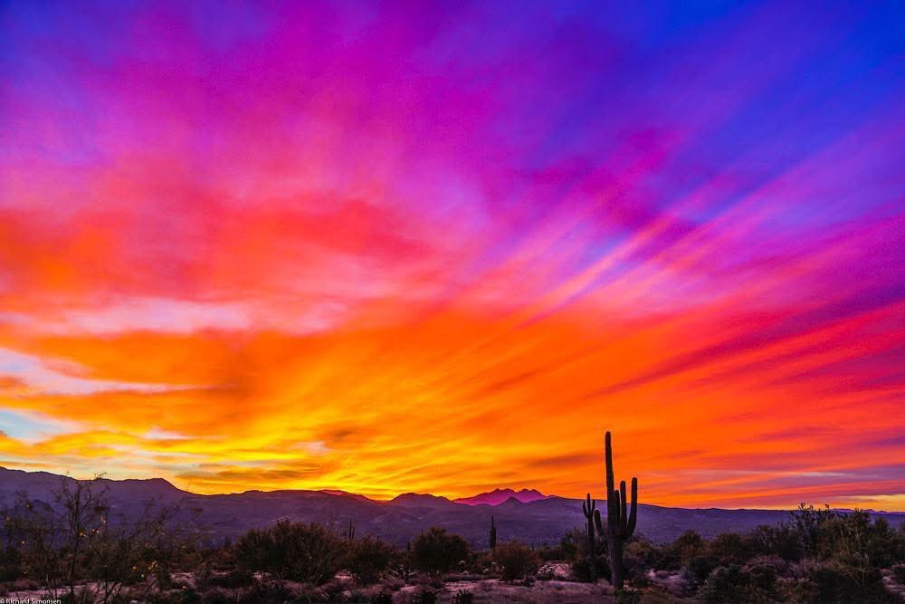 Good Morning X
Some Days The Desert Just Hits Different