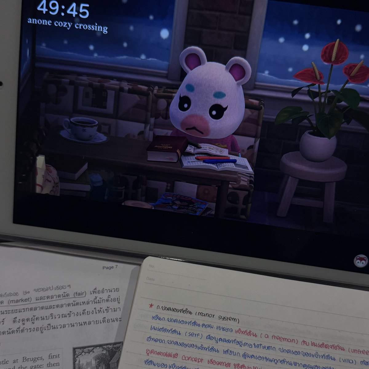 바다 ୨୧ tweet media