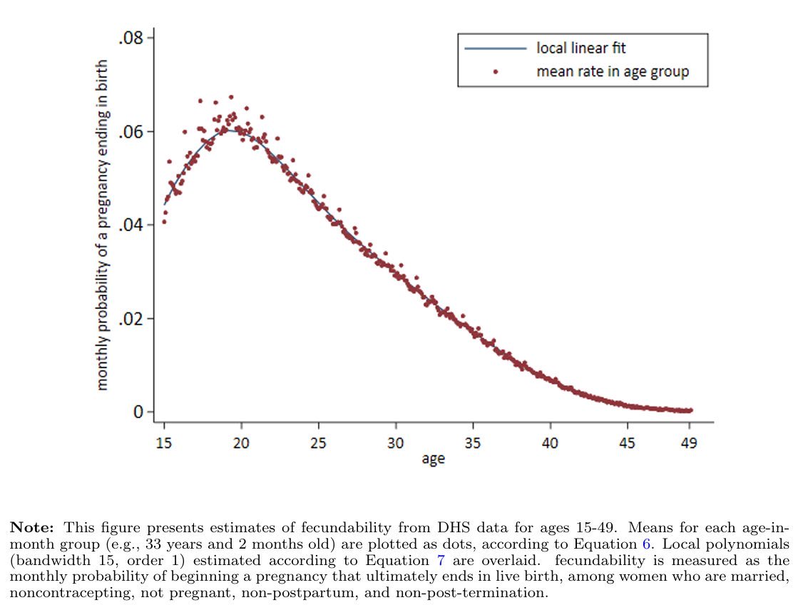 Neoptolemus tweet media