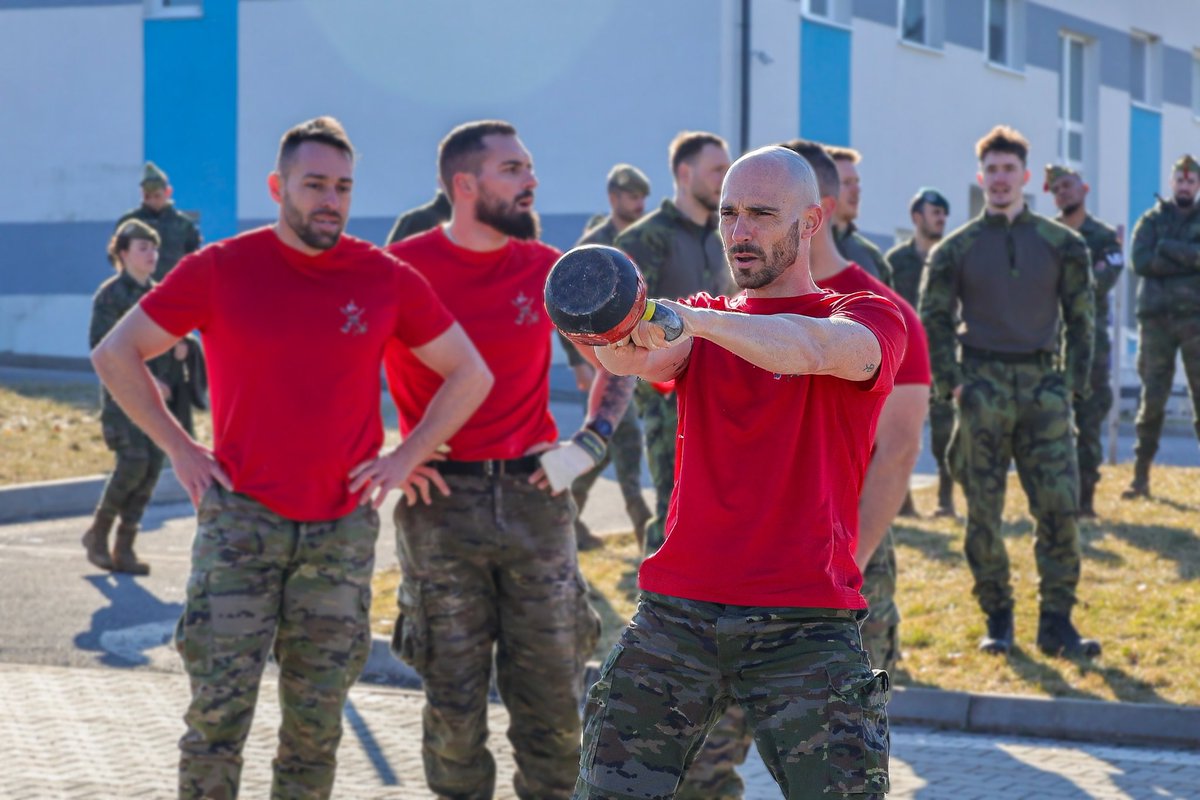 NATO Multinational Brigade Task Force Slovakia tweet media