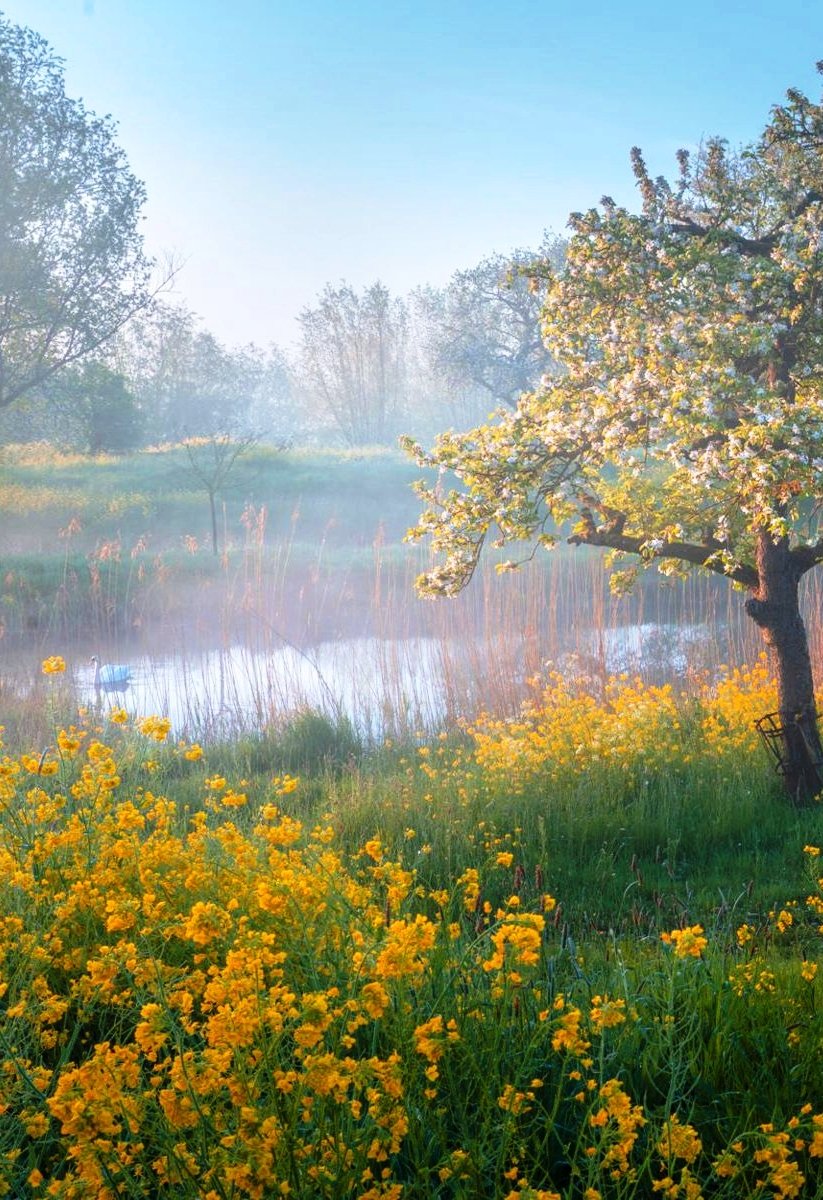 Tina Koskima 🕊️ tweet media