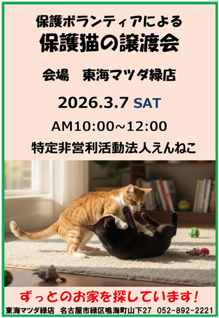 NPO法人えんねこ tweet media