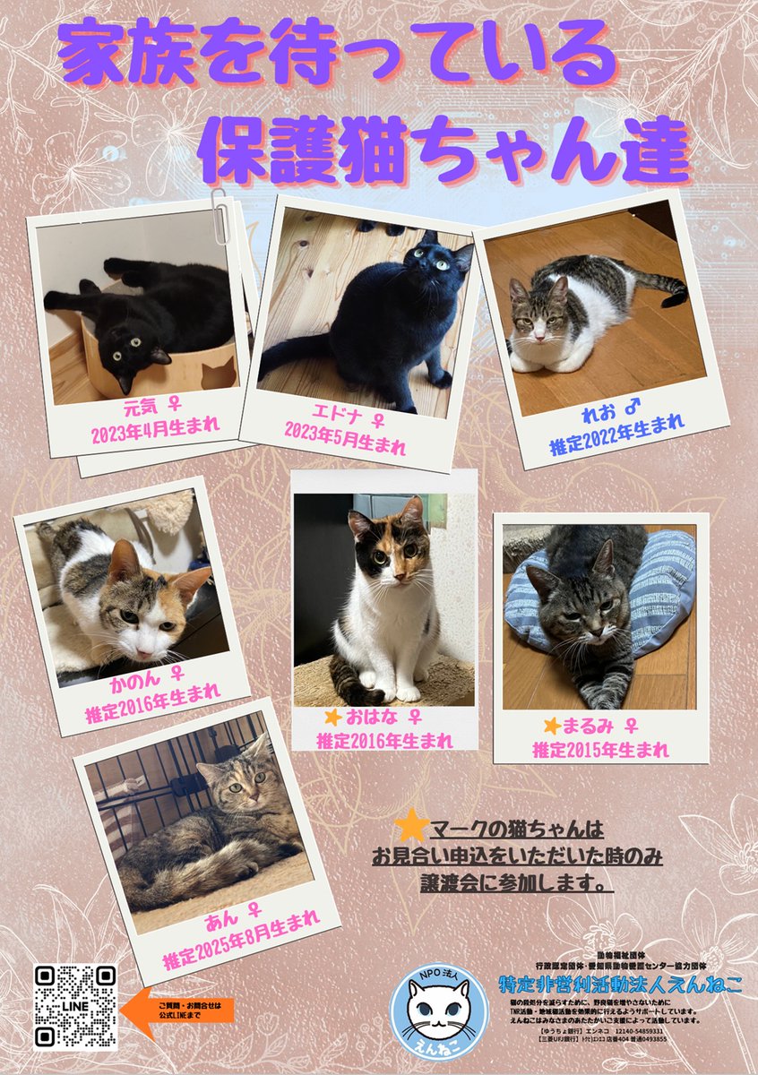 NPO法人えんねこ tweet media