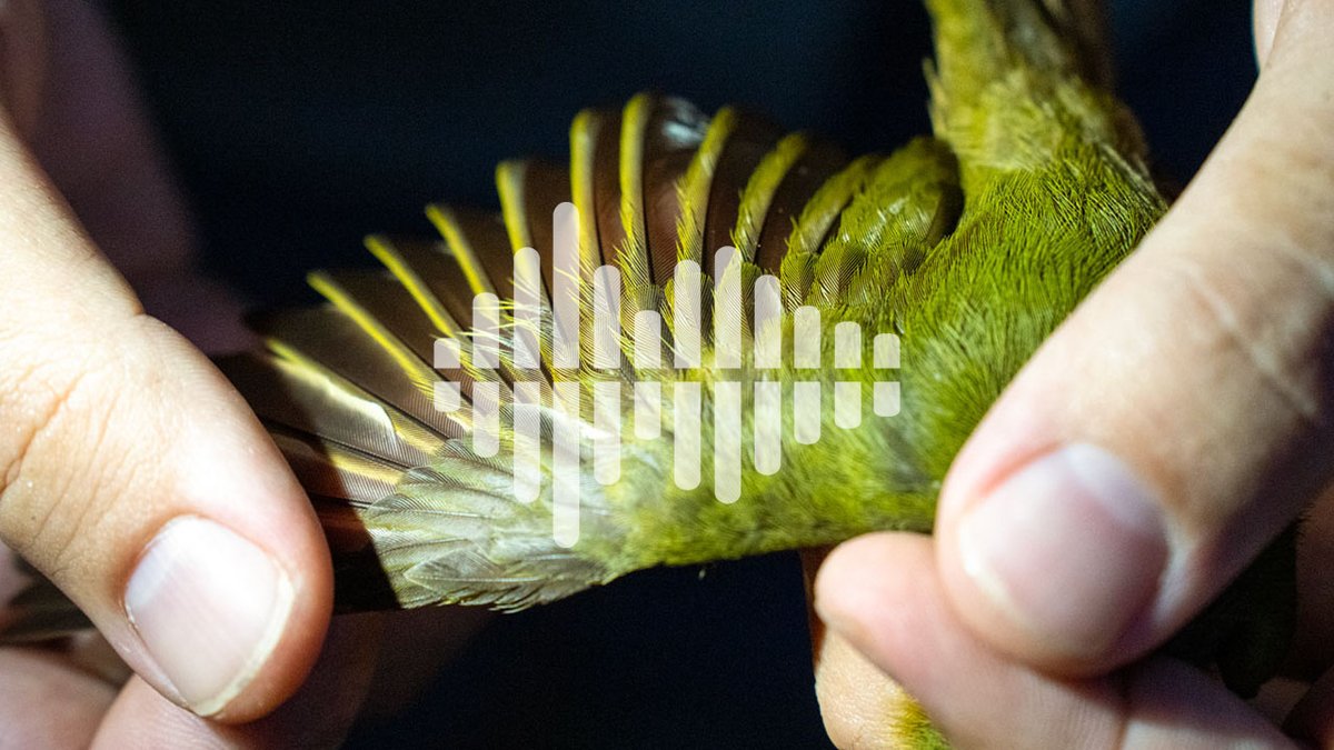 Sinab Bibliotecas UNAL tweet media