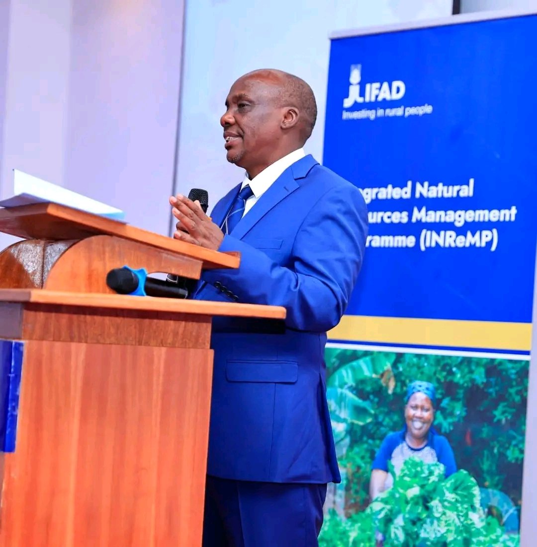 DrRonohpaul's tweet photo. With an investment of KSh 34 billion,#INReMP unites ten counties in western Kenya to restore forests and wetlands, promote climate-smart agriculture&amp; protect vital land and water resources. 
@CS_MoALD @_KithureKindiki @EnviClimateC_Ke @NemaKenya @Forestry__Kenya @KeForestService https://t.co/k6X7JeEtDs