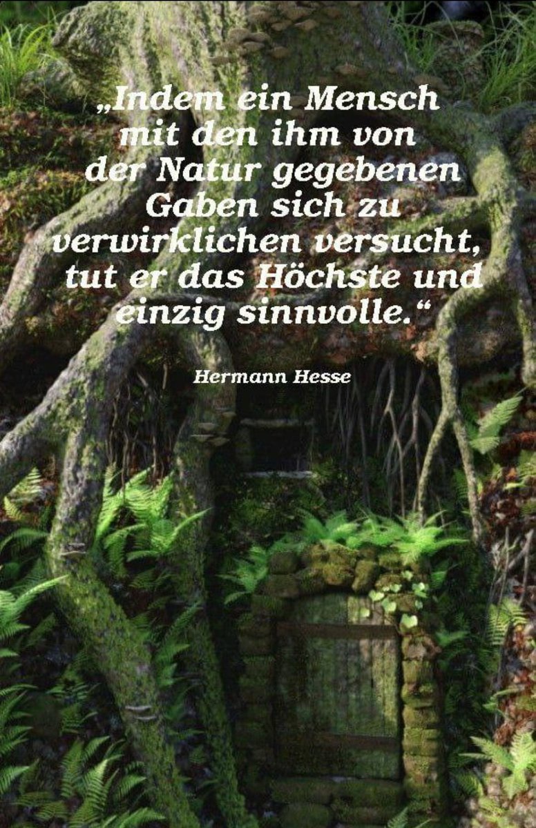 Genau das habe ich heute getan