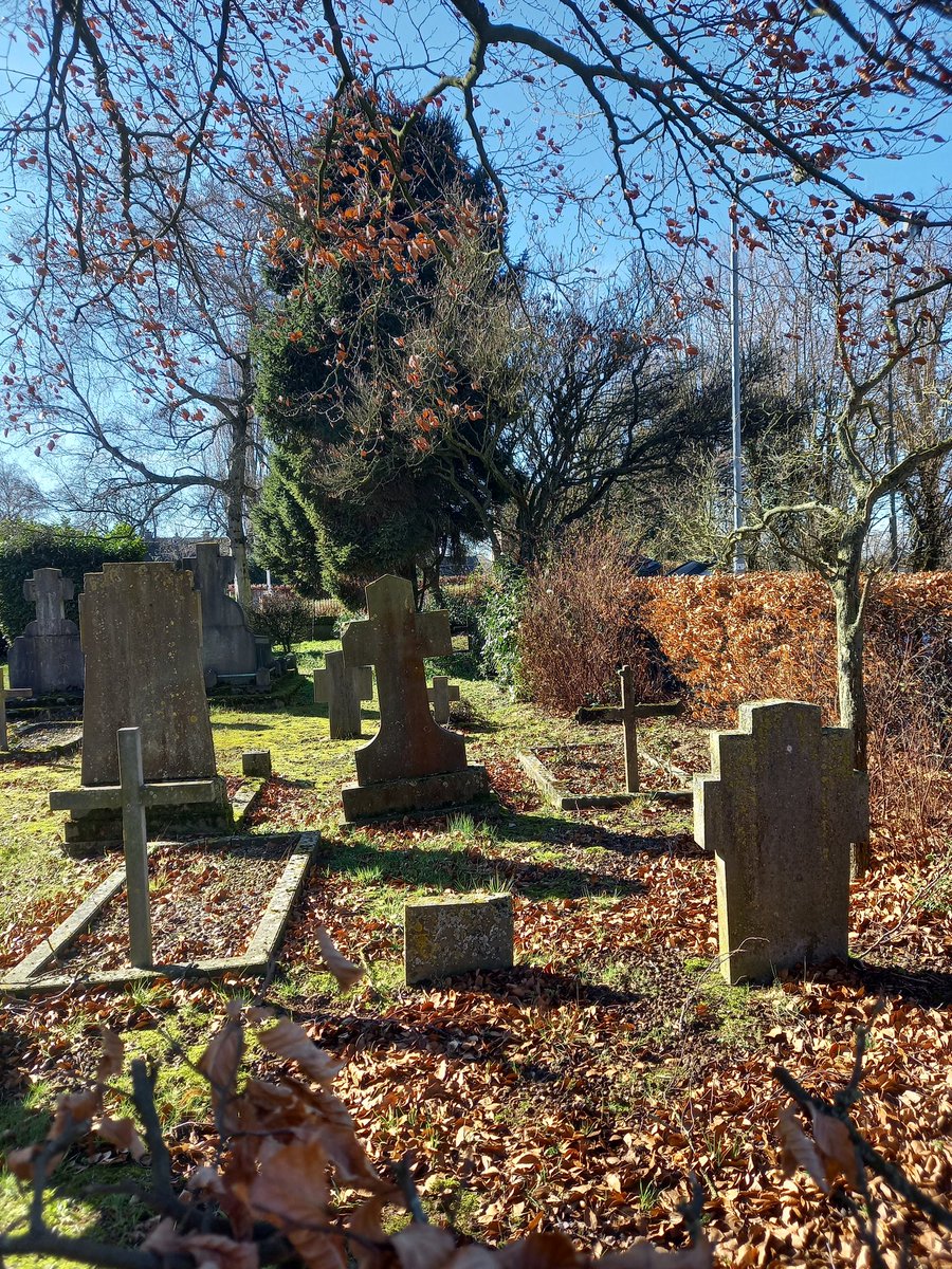 EsLe 🥀 tweet media