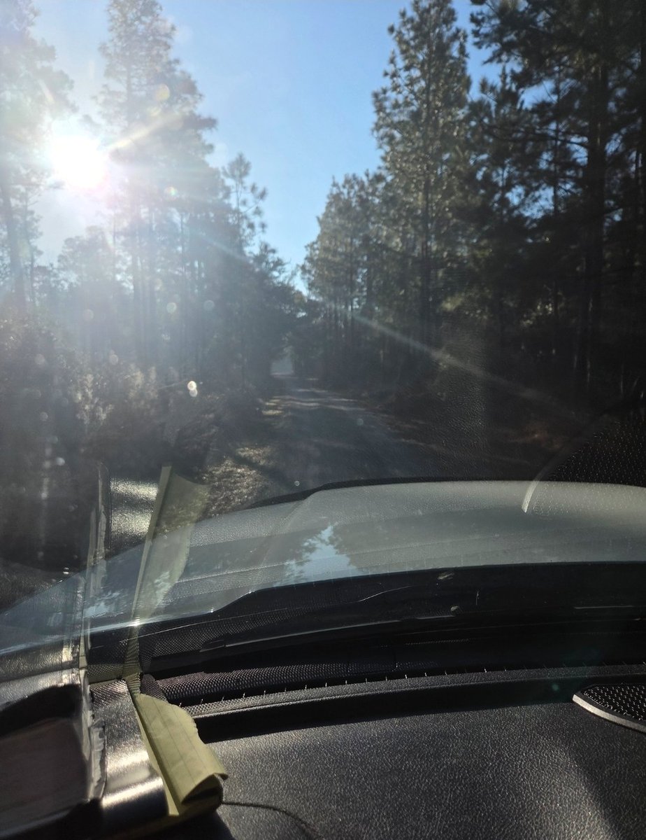 mwaters33's tweet image. Remodel we're starting today has a 2 mile driveway that looks like this. 

#lifegoals