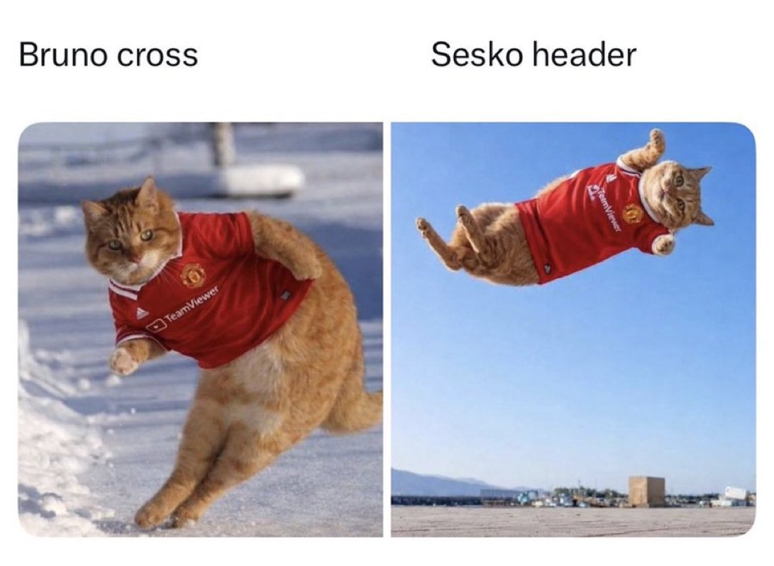 Sesko In Tesco 🏪 tweet media