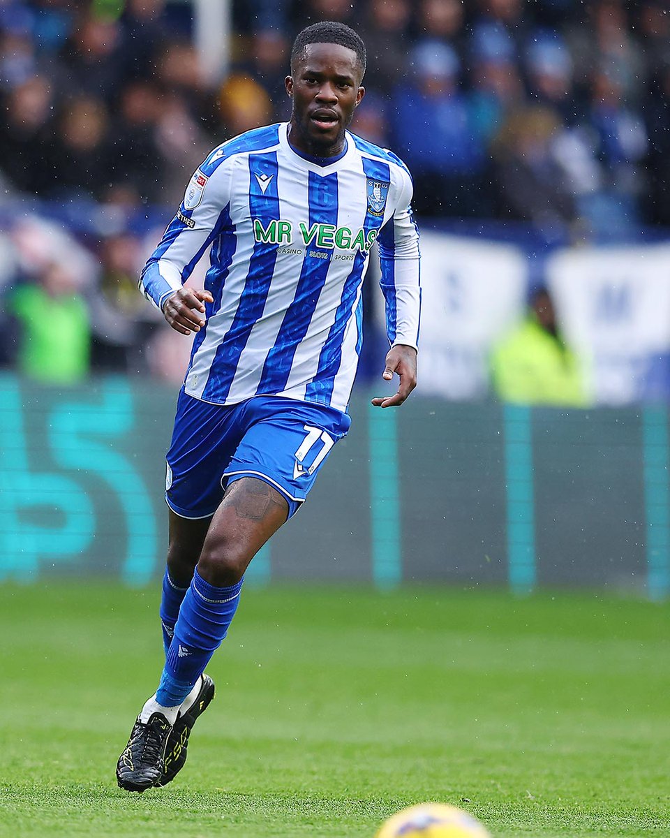 Sheffield Wednesday tweet media