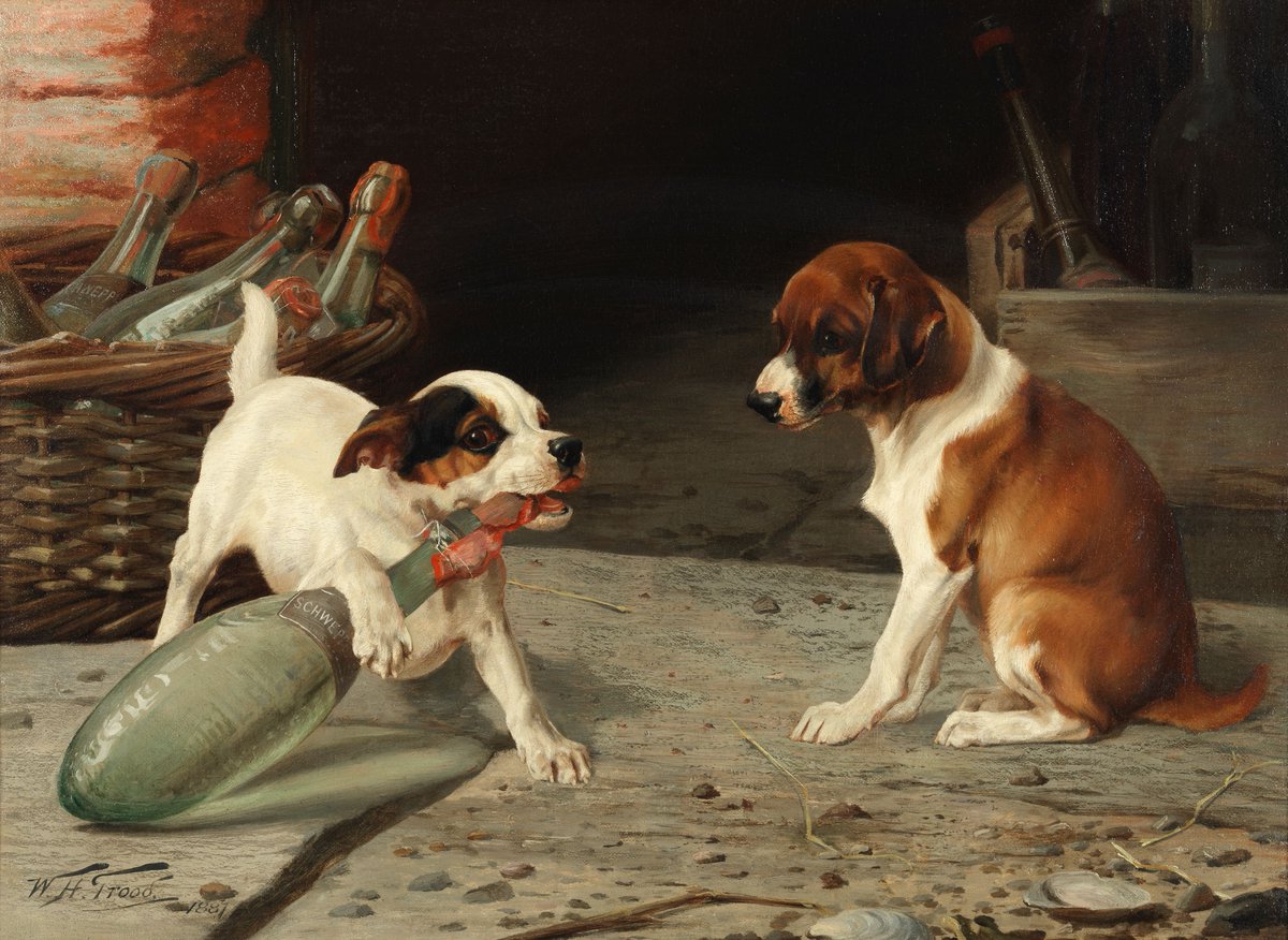 짤주워오는계정 tweet media