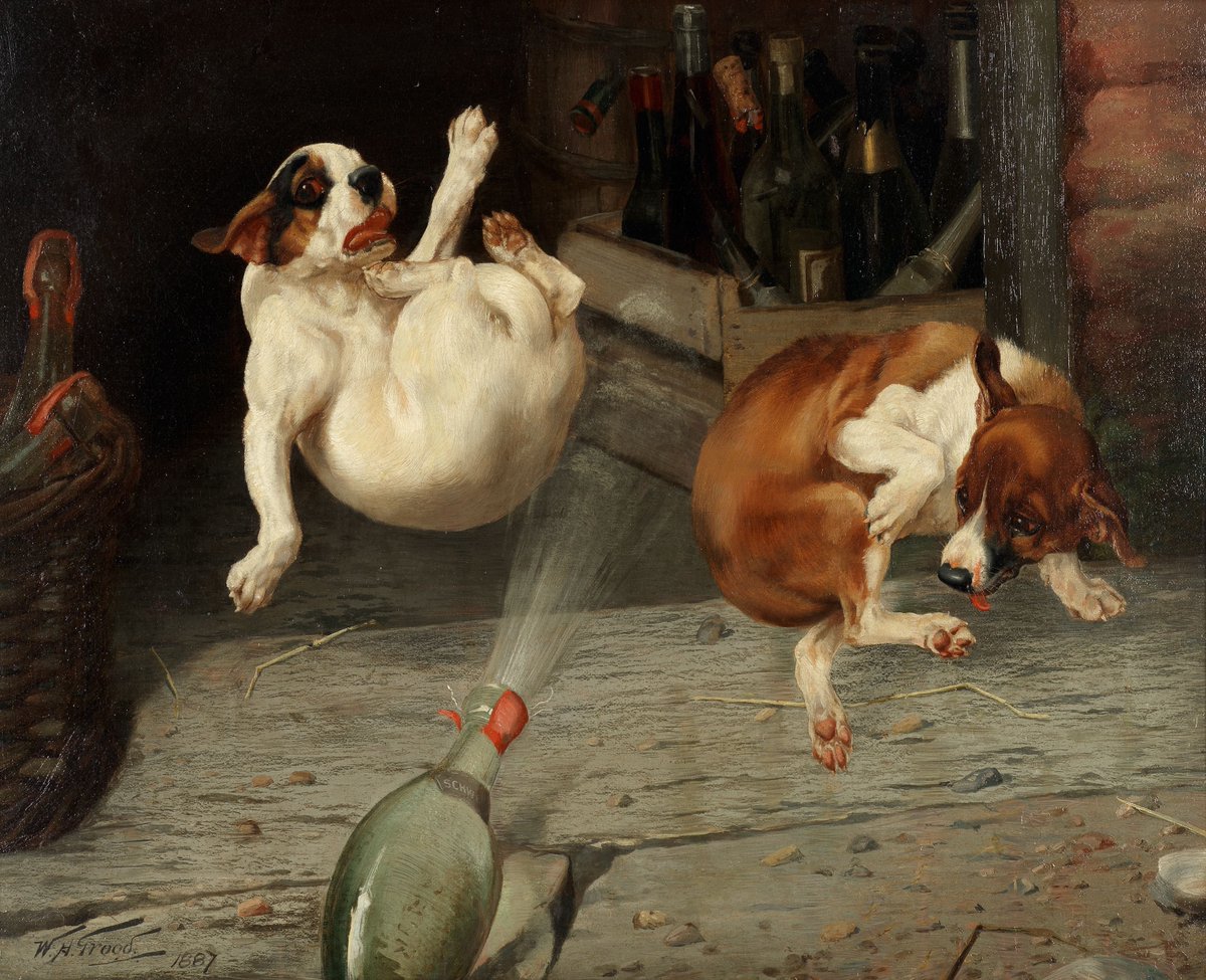 짤주워오는계정 tweet media