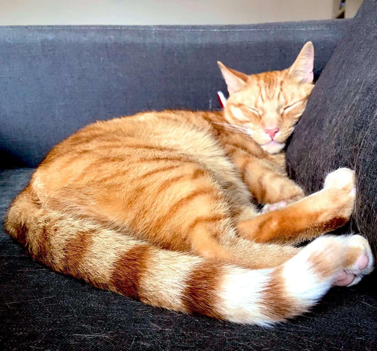 Andy Hygate tweet media