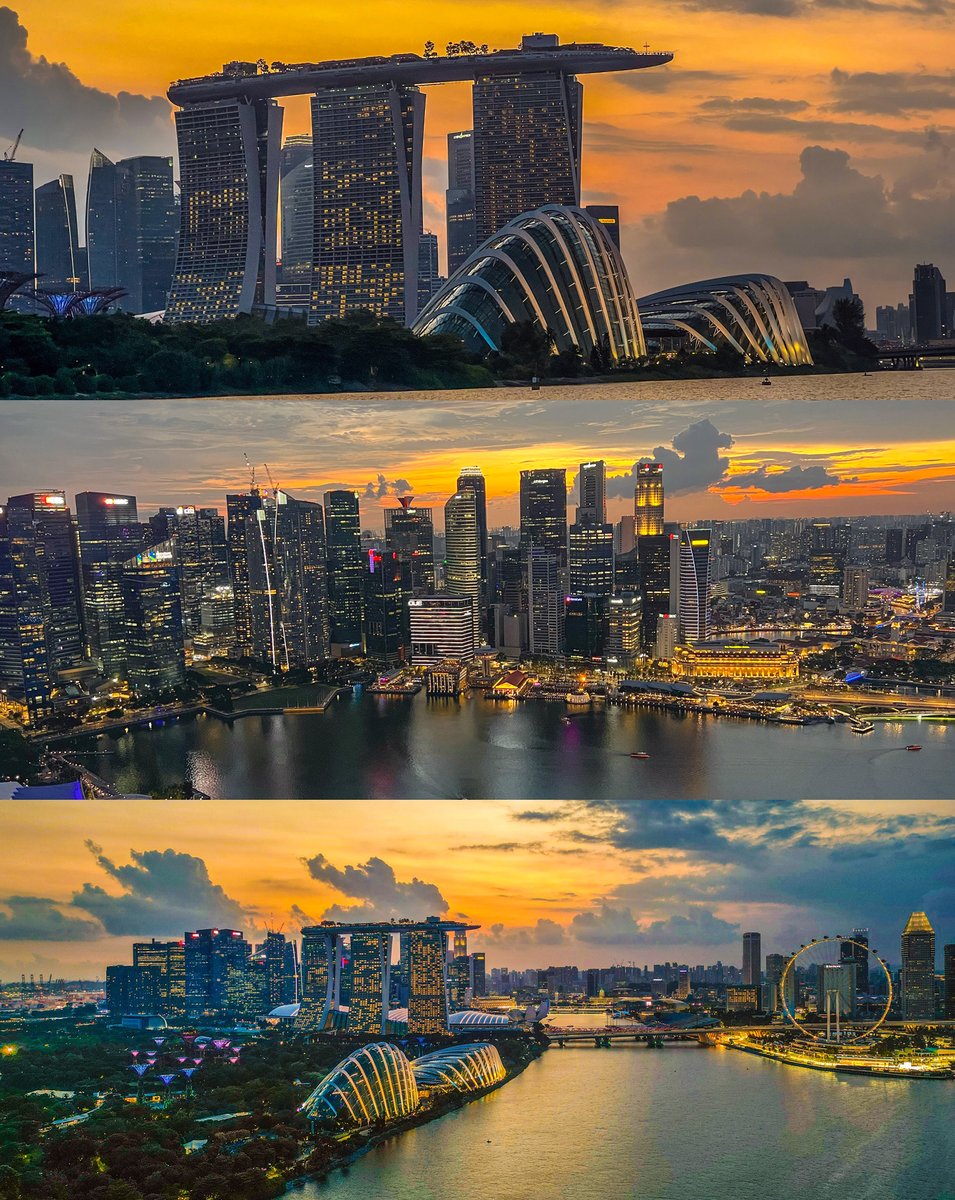 Flying Motion Media tweet media