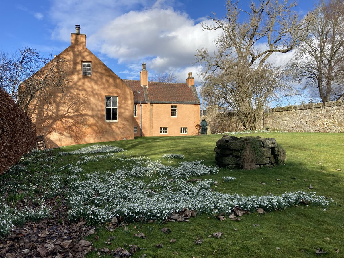 Rosslynchapel's tweet photo. Great display of snowdrops at Collegehill House next to the Chapel. @LandmarkTrust https://t.co/6cFVa6K4vy