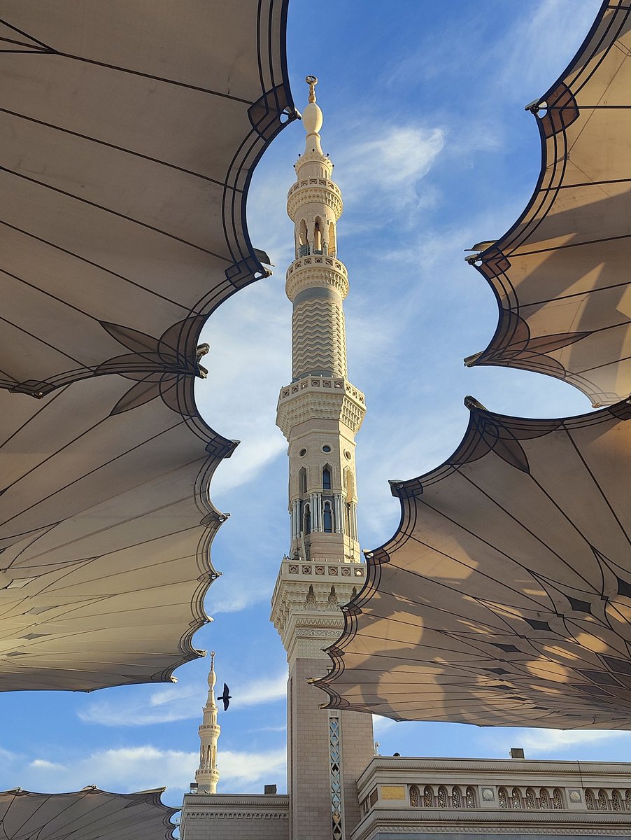 loobobaa's tweet photo. Masjid An-Nabawi 💕 https://t.co/Hkgs5d9N1s
