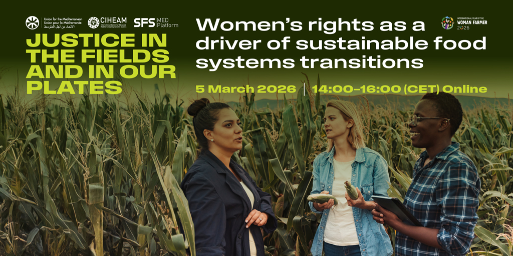 Union for the Mediterranean tweet media