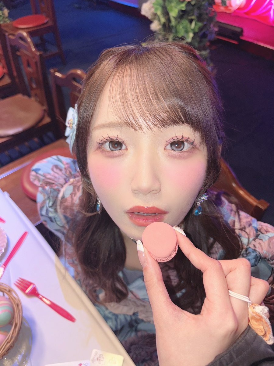 ぱくぱくっ!食べさせてくれるの? #すいすて #マカロン ∴∵∴ ୨୧