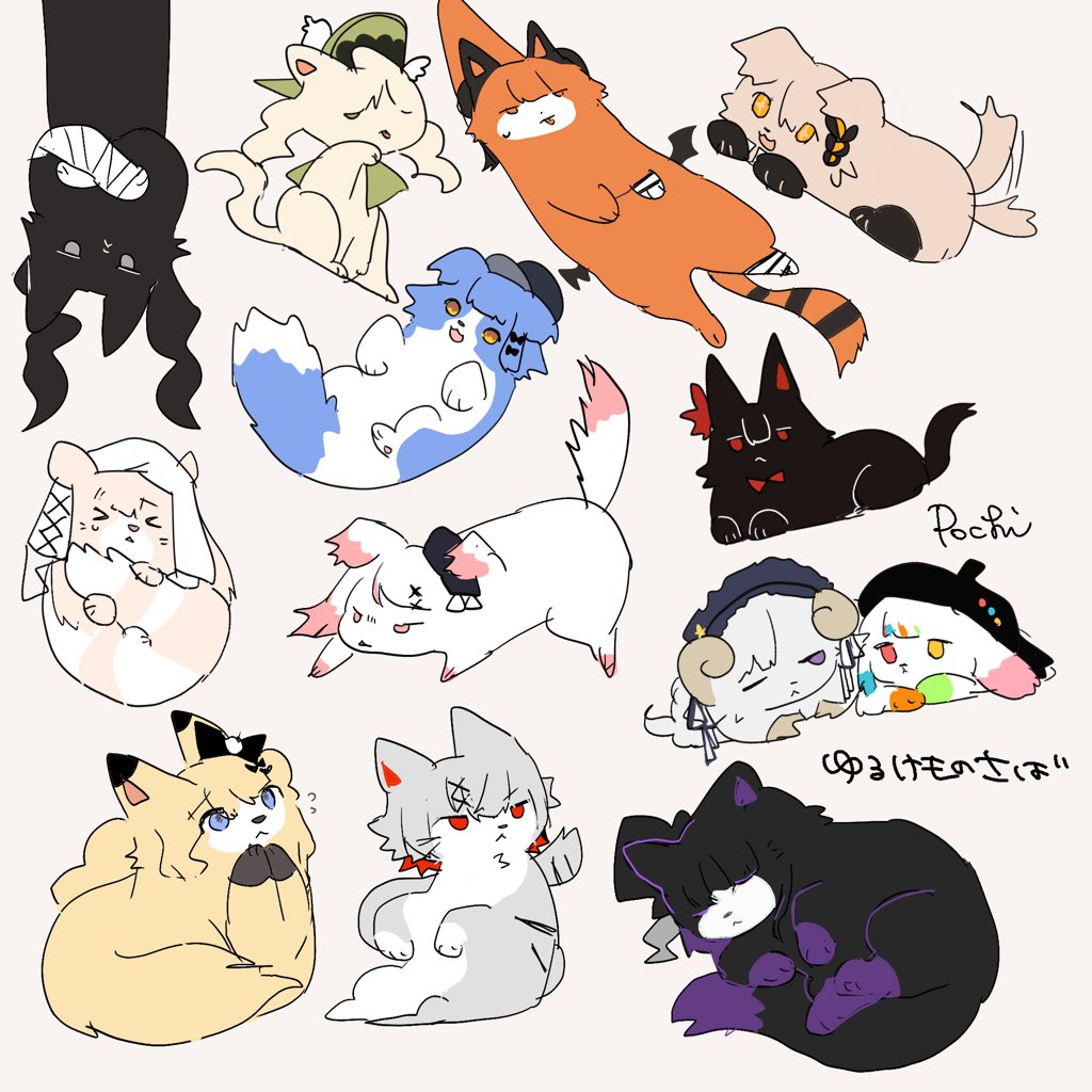 ぽち🐾 tweet media