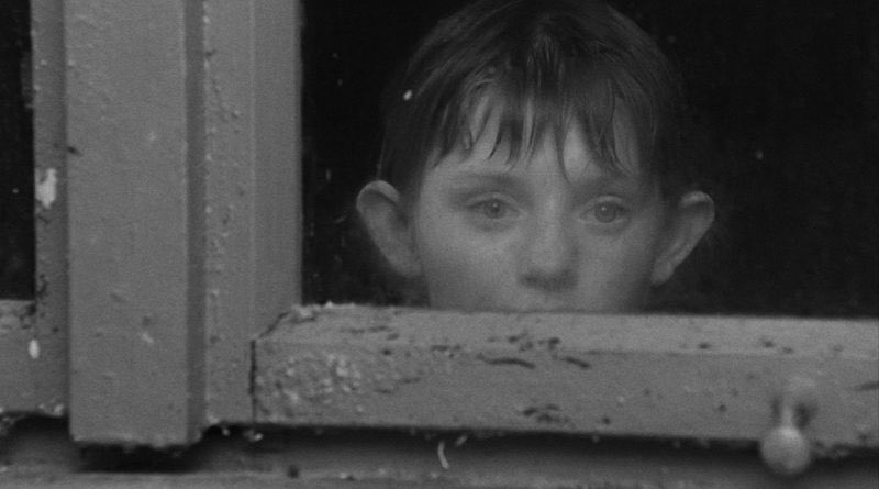 LeTenenbaum tweet media