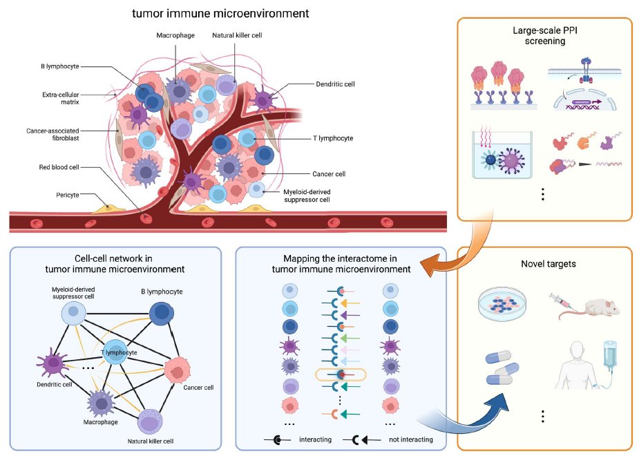 AntibodyT's tweet image. Antibody Therapeutics (IF=4.5, Oxford University Press)
🔥🔥 Mapping the protein–protein interactome in the tumor immune microenvironment
academic.oup.com/abt/article/6/…
#proteinproteininteraction #targetdiscovery #interactome #tumorimmunemicroenvironment #immunooncology