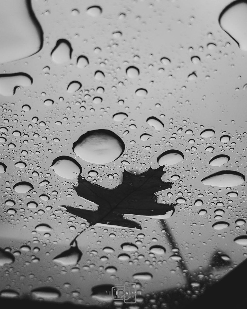 Uncle Marty🤓 tweet media