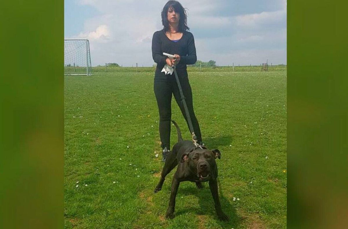 Le Parisien tweet media