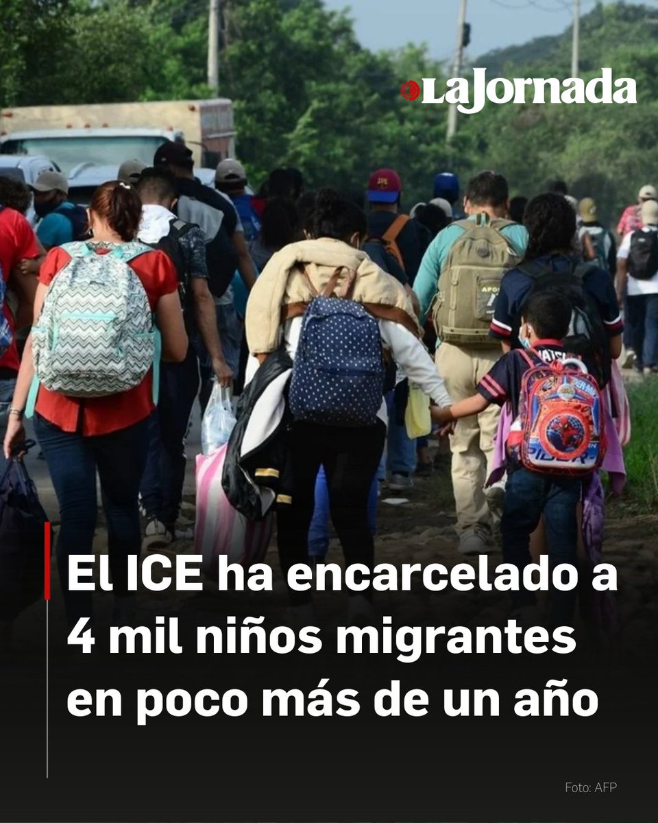 Desde el inicio de la administración de Donald Trump en enero de 2025, las autoridades migratorias han arrestado y recluido a por lo menos 3 mil 800 menores de edad, incluyendo a 20 bebés.

Investigaciones denuncian que estos niños, capturados en sus hogares, escuelas o calles,