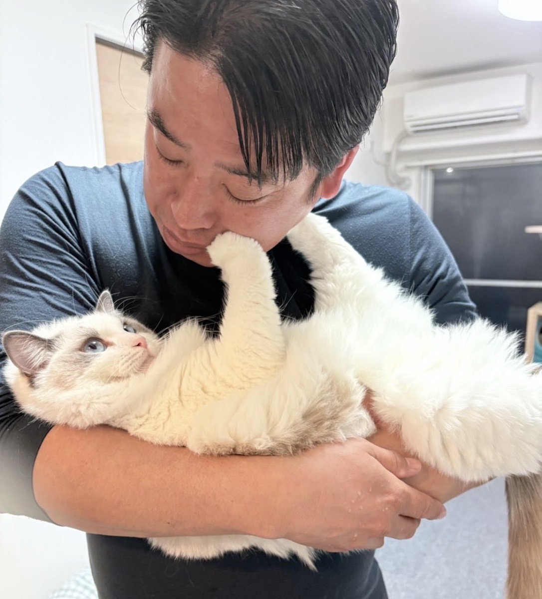 WRenovation's tweet photo. 仕事の話ではないのですが妻のインスタで我が家の猫ちゃんの対応の違いの写真が載っていました。
確かに全力で嫌がっています。
残念です。 https://t.co/B1jr7HGhet