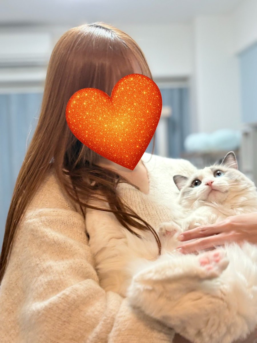 WRenovation's tweet photo. 仕事の話ではないのですが妻のインスタで我が家の猫ちゃんの対応の違いの写真が載っていました。
確かに全力で嫌がっています。
残念です。 https://t.co/B1jr7HGhet