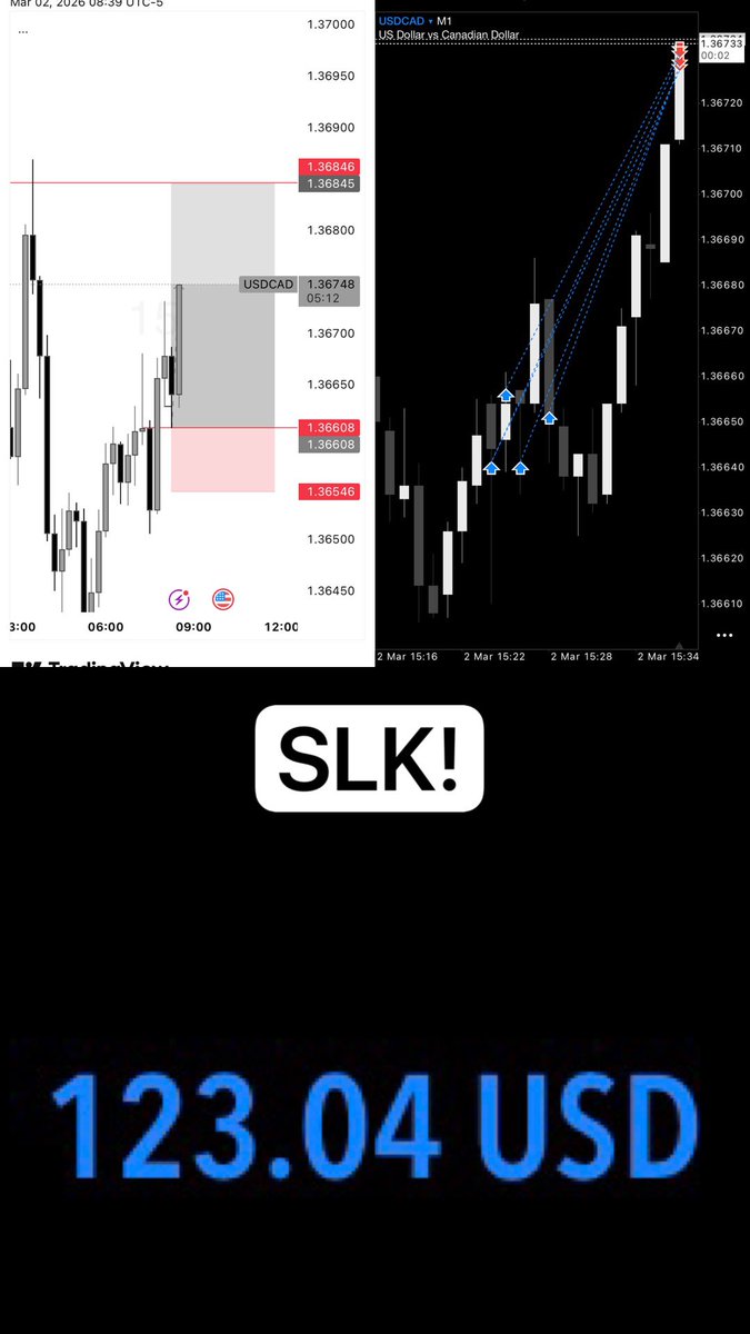 Living Pips tweet media